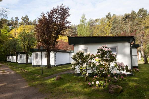 Koserow Meeressterne Ferienresort Damerow מראה חיצוני תמונה