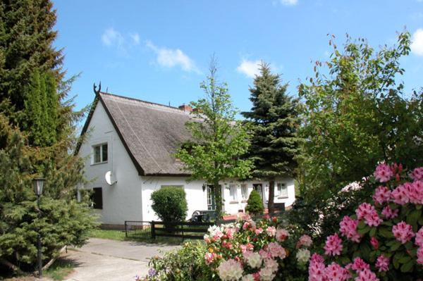 Koserow Meeressterne Ferienresort Damerow מראה חיצוני תמונה
